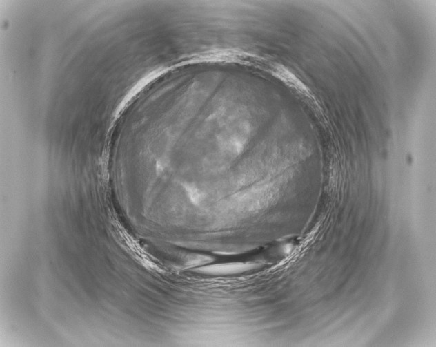 X0000087631216200705181452