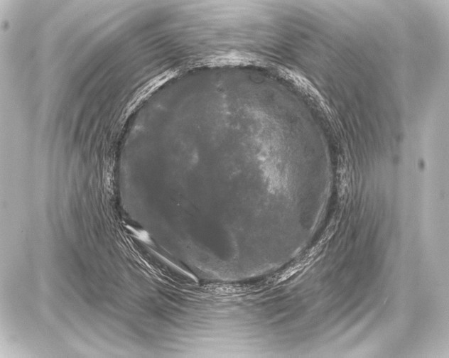 X0000087631217200705181452