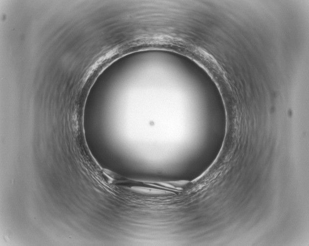 X0000087631218200705181452