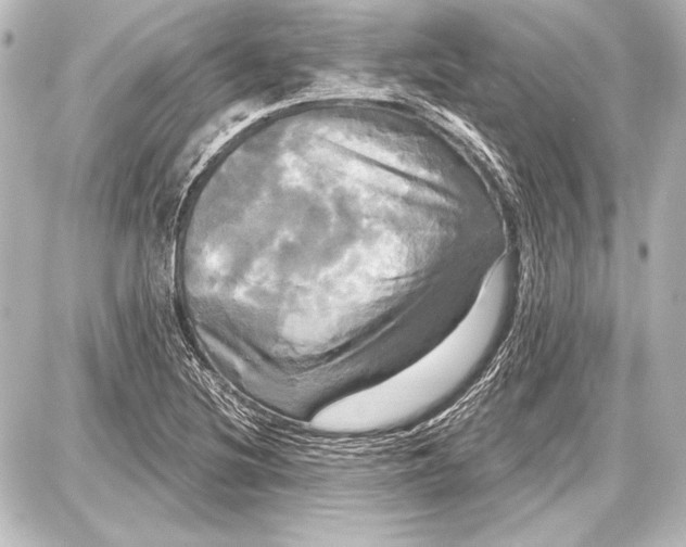 X0000087631220200705181452