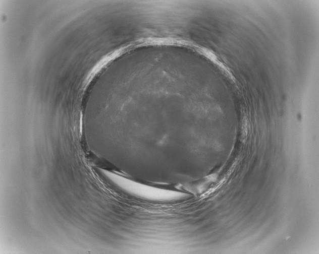 X0000087631221200705181452