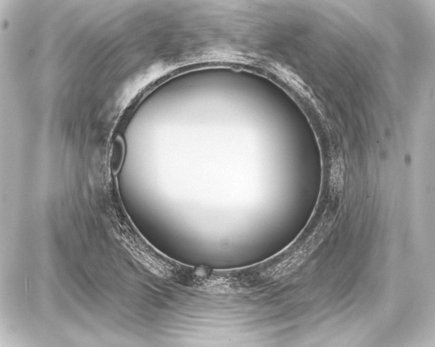 X0000087631222200705181452