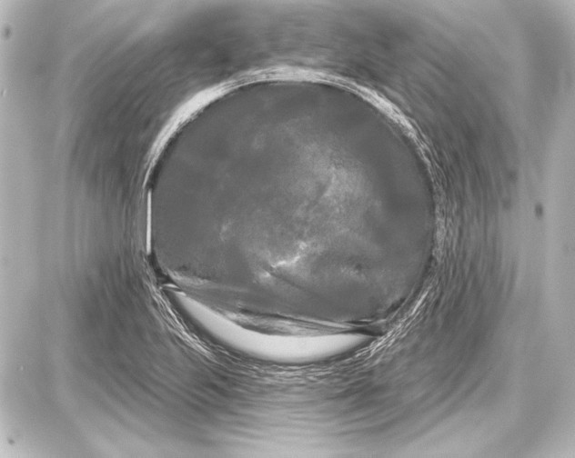 X0000087631223200705181452