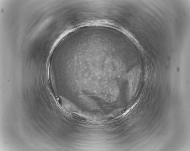 X0000087631224200705181452