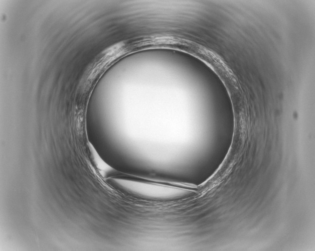 X0000087631225200705181452