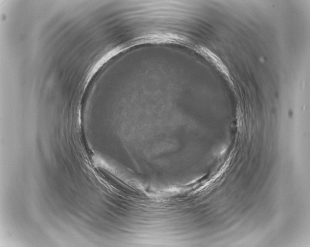 X0000087631226200705181452