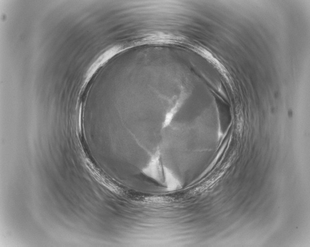 X0000087631227200705181452