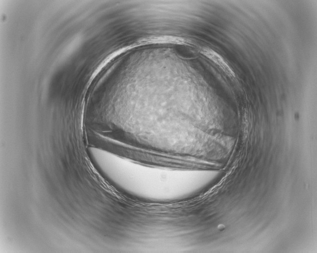 X0000087631228200705181452