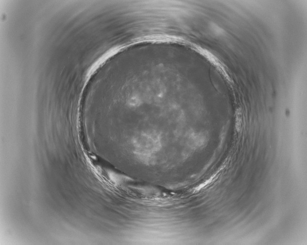 X0000087631229200705181452