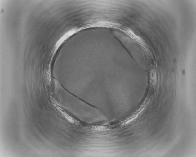 X0000087631230200705181452