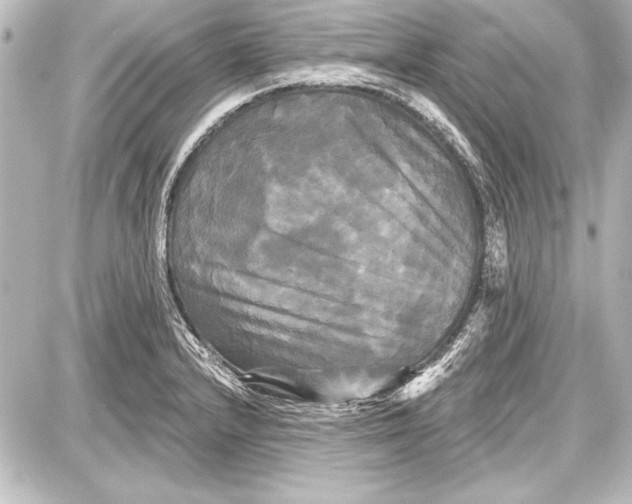 X0000087631232200705181452