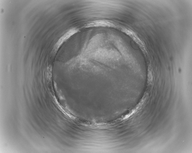 X0000087631233200705181452