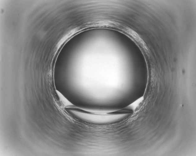 X0000087631234200705181452