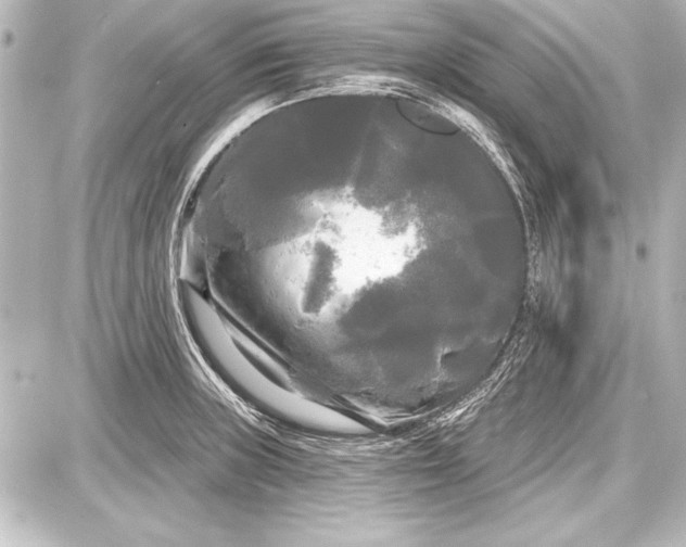 X0000087631235200705181452