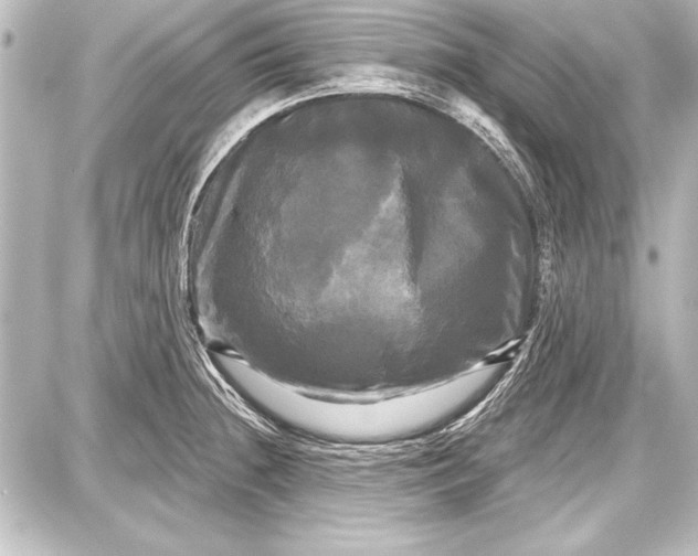 X0000087631236200705181452