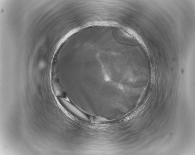 X0000087631237200705181452