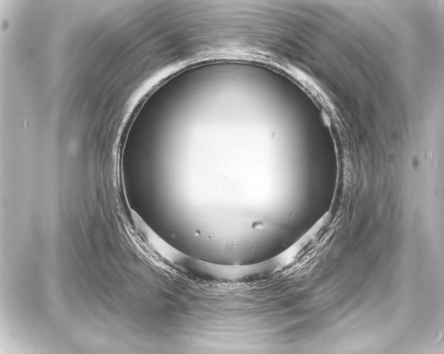 X0000087631238200705181452