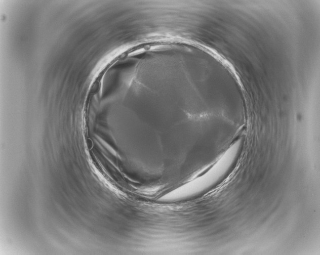 X0000087631239200705181452