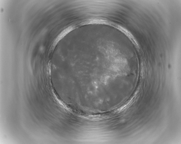 X0000087631241200705181452