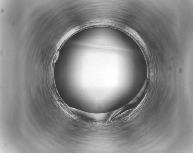 X0000087631242200705181452