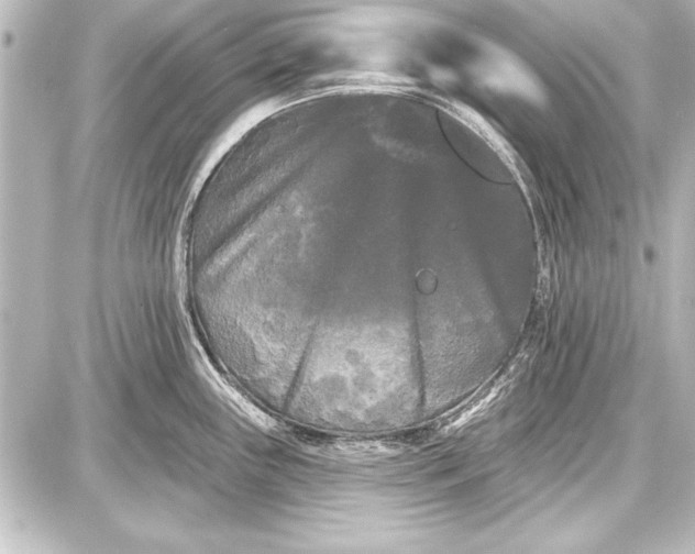 X0000087631243200705181452