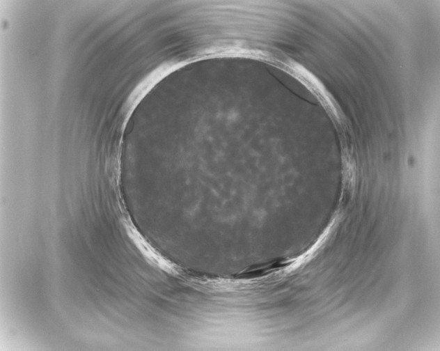 X0000087631244200705181452