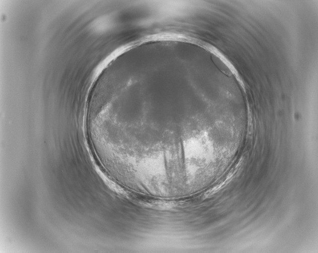 X0000087631245200705181452