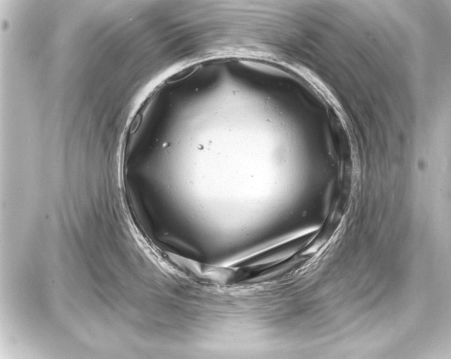 X0000087631246200705181452