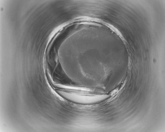 X0000087631247200705181452