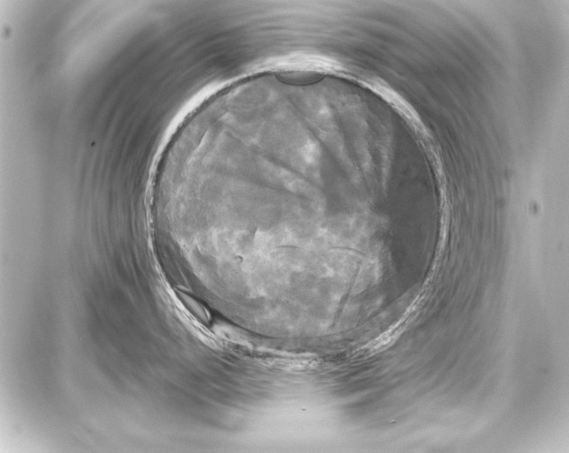 X0000087631248200705181452