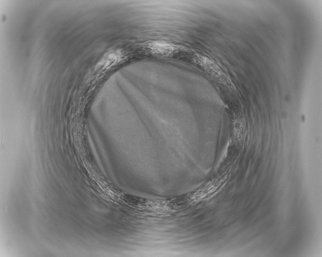 X0000087631249200705181452