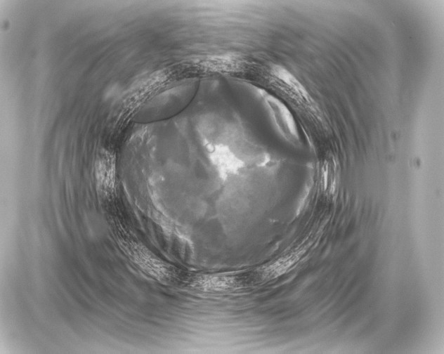 X0000087631251200705181452