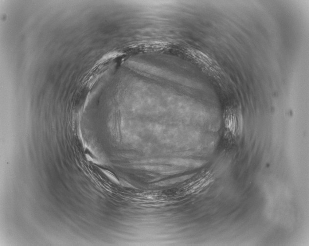 X0000087631252200705181452