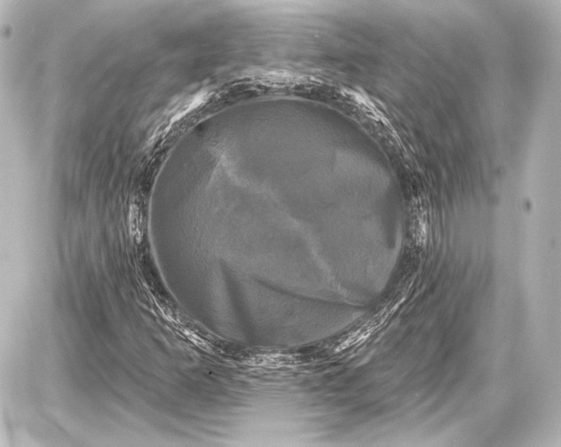 X0000087631253200705181452