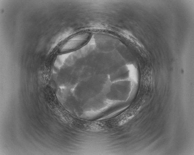 X0000087631255200705181451