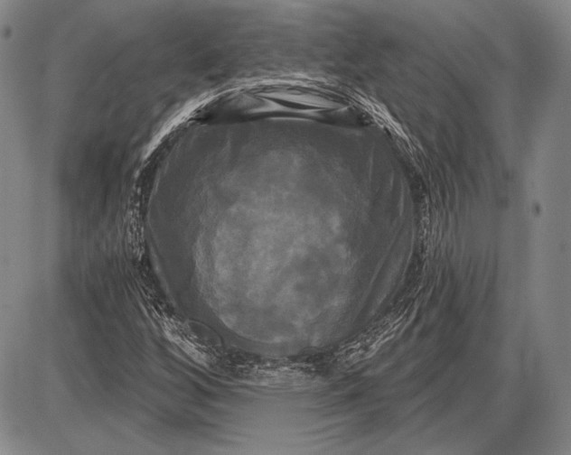 X0000087631256200705181451