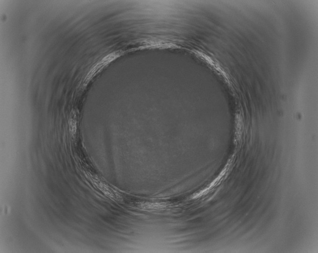 X0000087631257200705181451