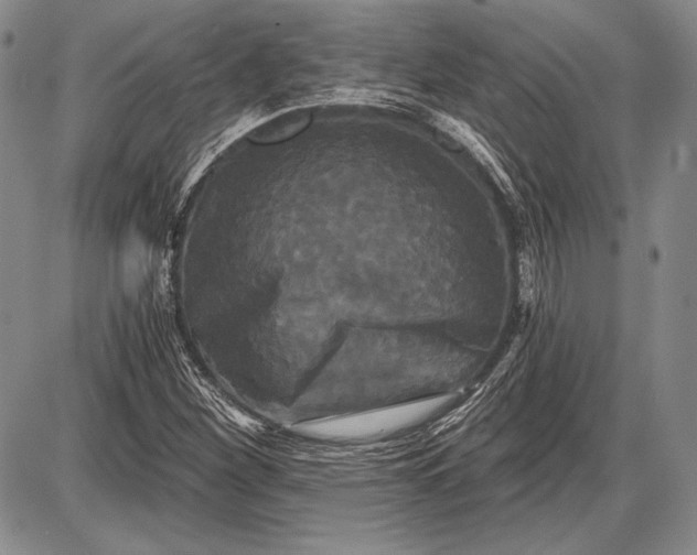 X0000087631260200705181451