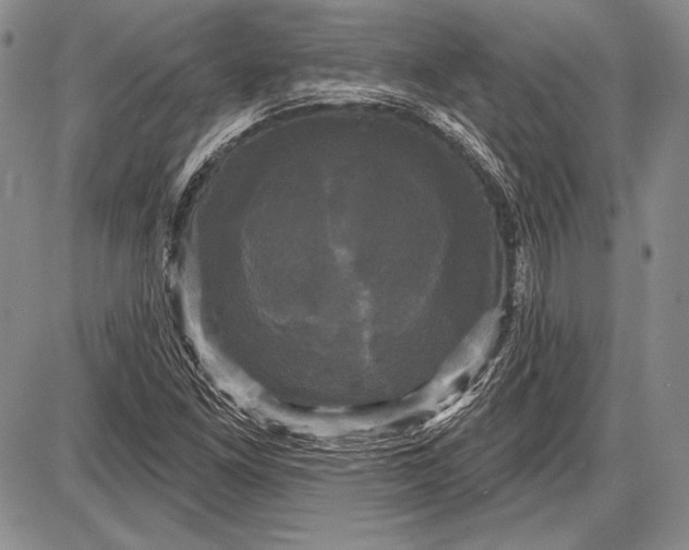 X0000087631261200705181451