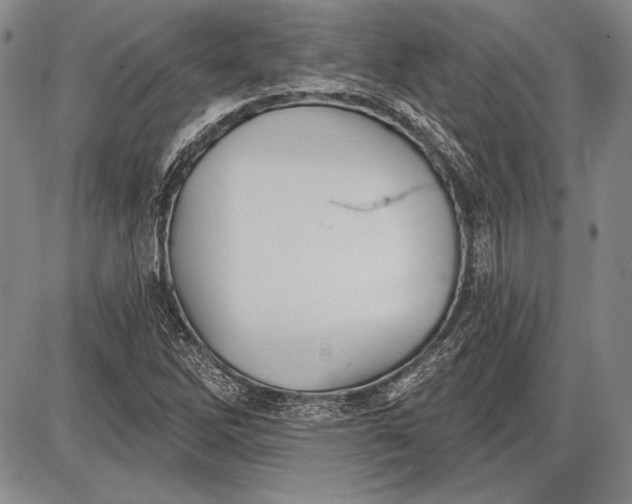 X0000087631262200705181451