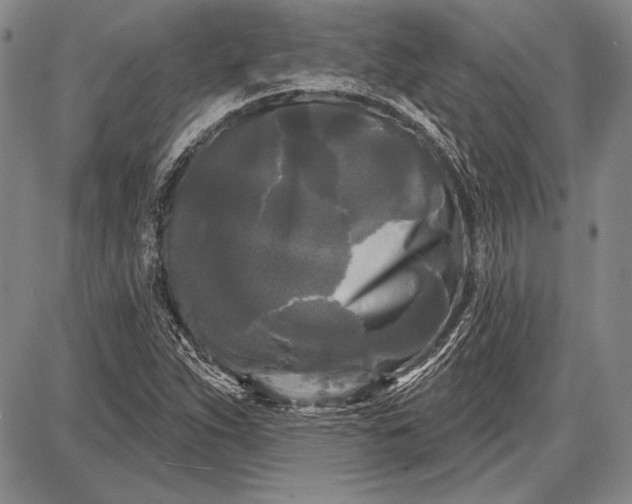 X0000087631263200705181451