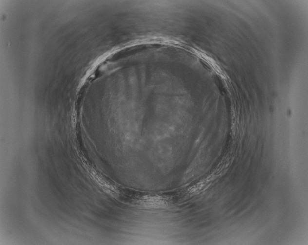 X0000087631264200705181451