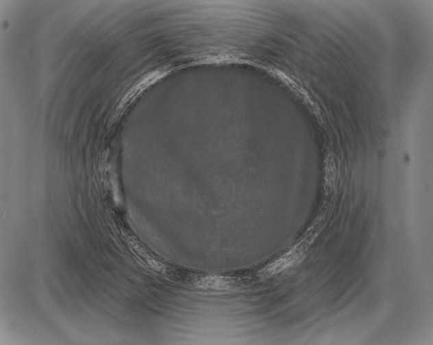 X0000087631265200705181451