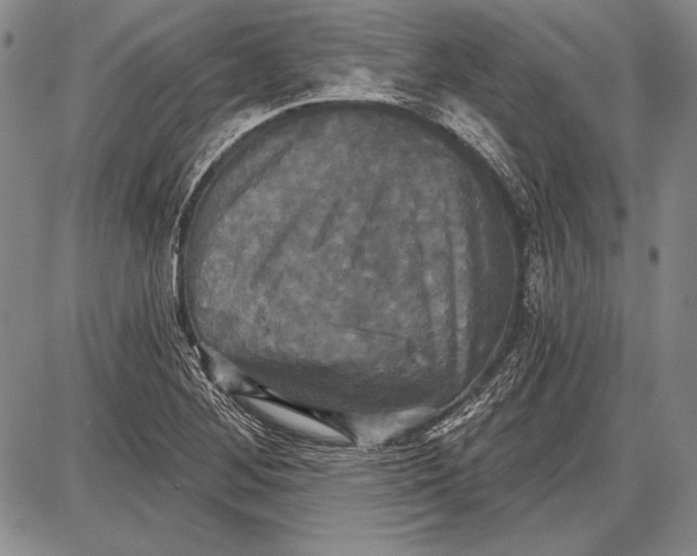 X0000087631268200705181451