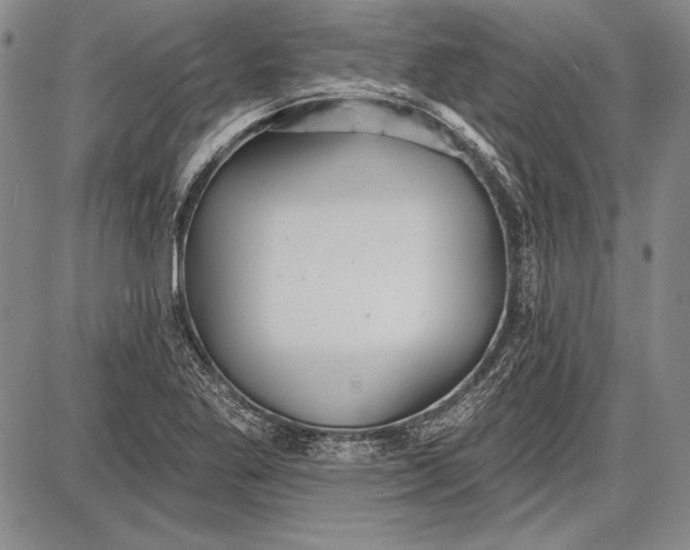 X0000087631269200705181451