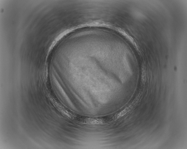 X0000087631270200705181451