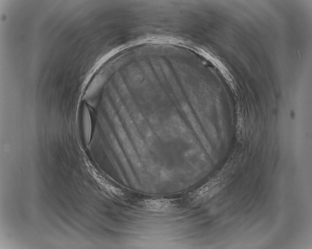 X0000087631272200705181451