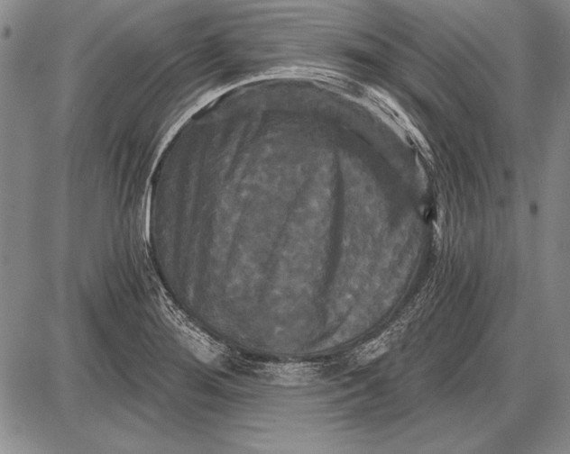 X0000087631276200705181451