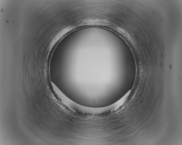 X0000087631277200705181451