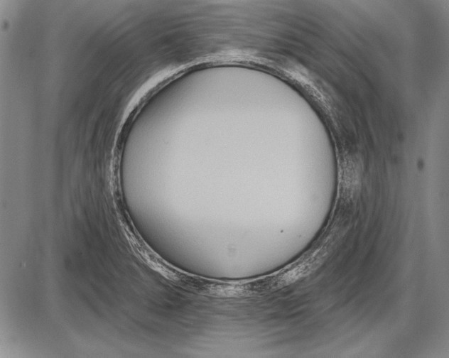 X0000087631278200705181451